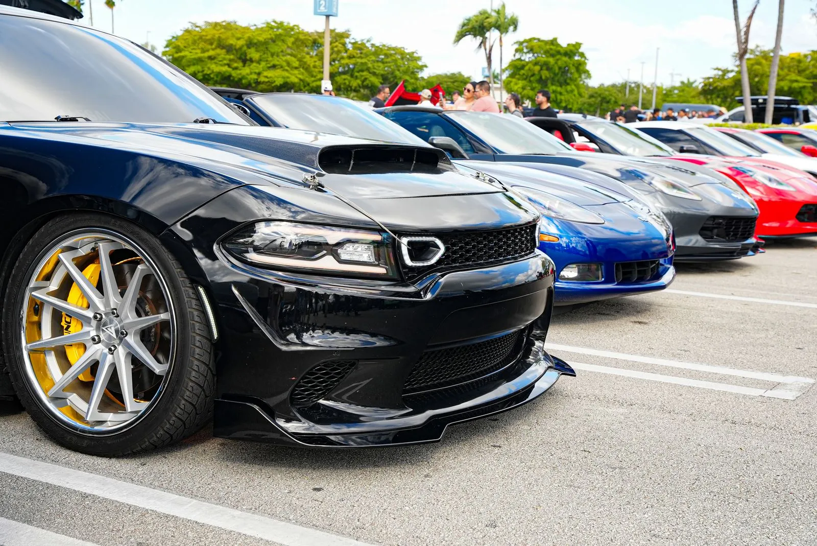 Cosmo Tires Evento 8